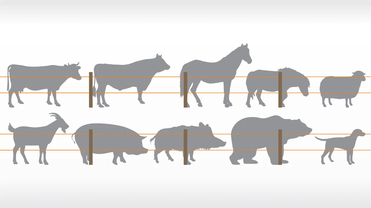 Indicații pentru construirea gardurilor electrice în funcție de specia de animal