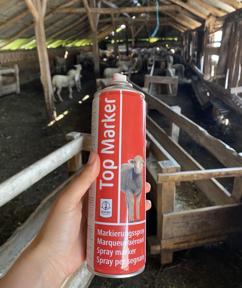 Recenzie produs - Spray roșu pentru marcarea ovinelor, TopMarker, 500 ml :: Roșu - agroelectro.ro