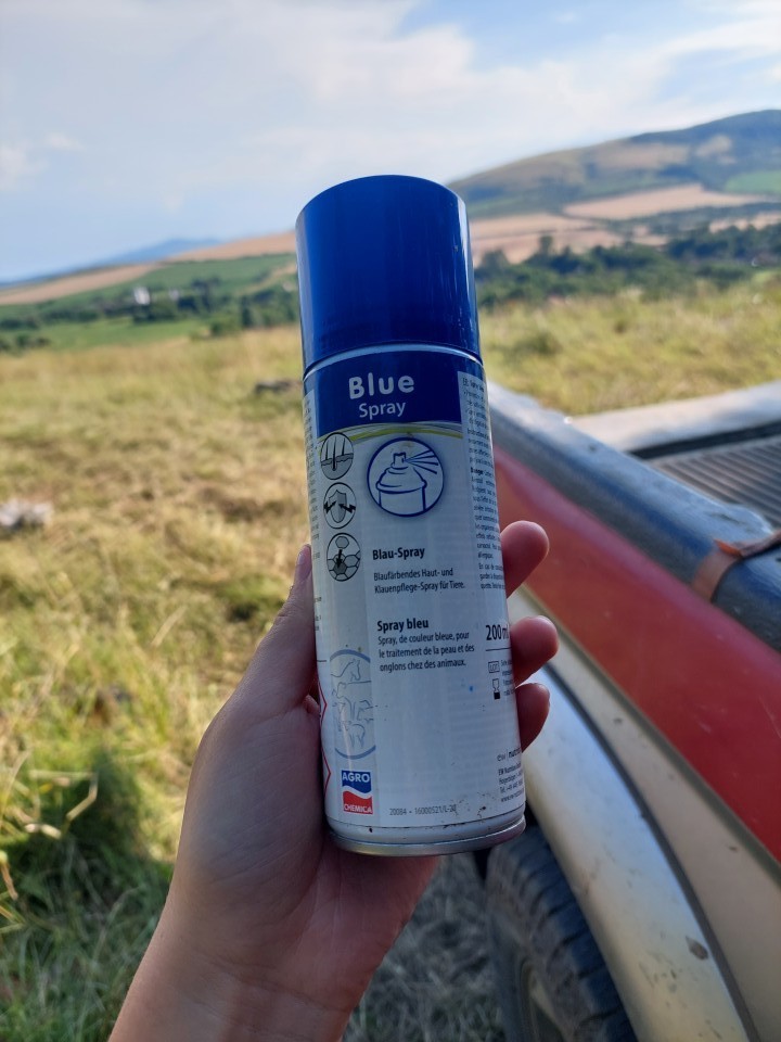 Recenzie produs - Spray albastru pentru dezinfectare, 200 ml :: 200 ml - agroelectro.ro