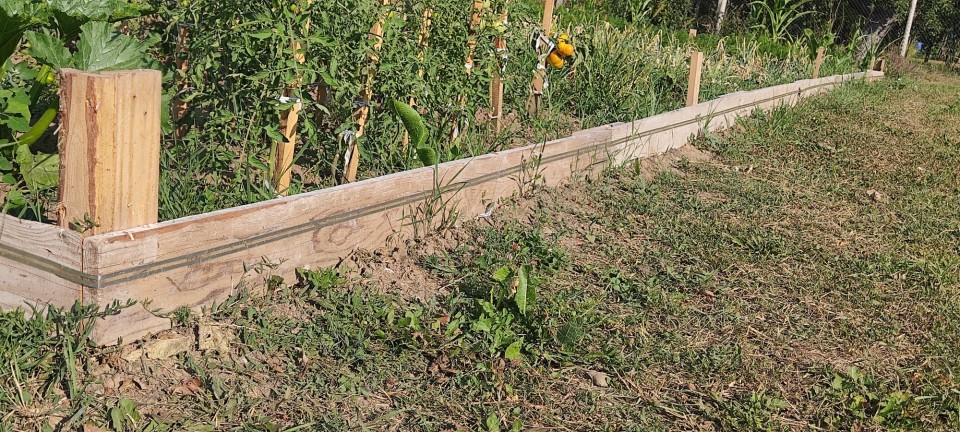 Recenzie produs - Bandă gard electric împotriva melcilor, 10 m - agroelectro.ro