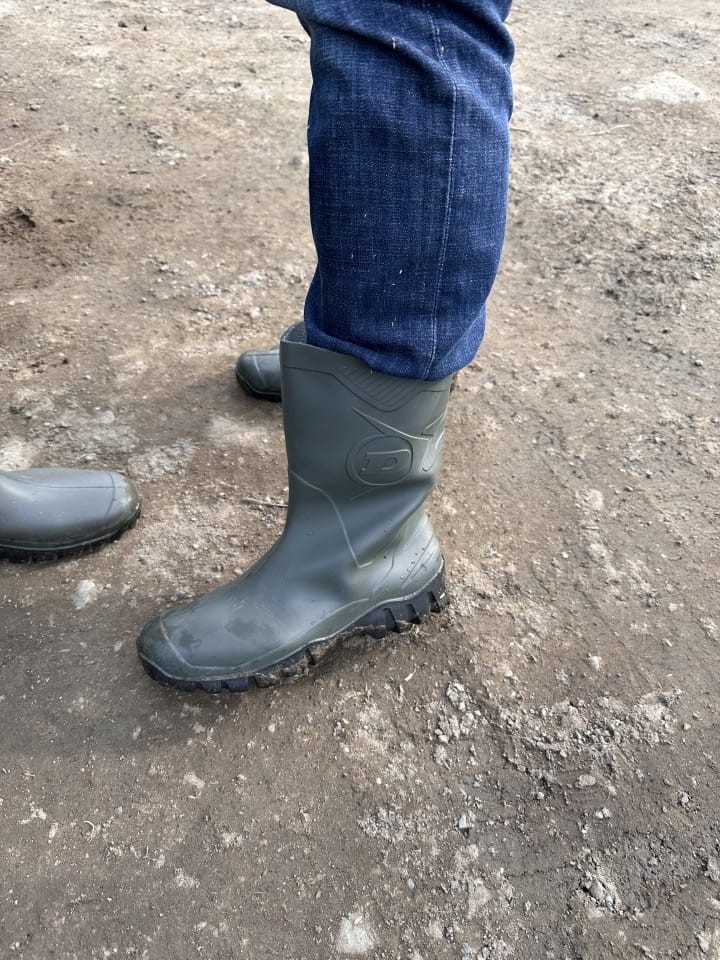 Recenzie produs - Cizmă din PVC, Dunlop Dee, verde, mărimea 43 :: 43 - agroelectro.ro