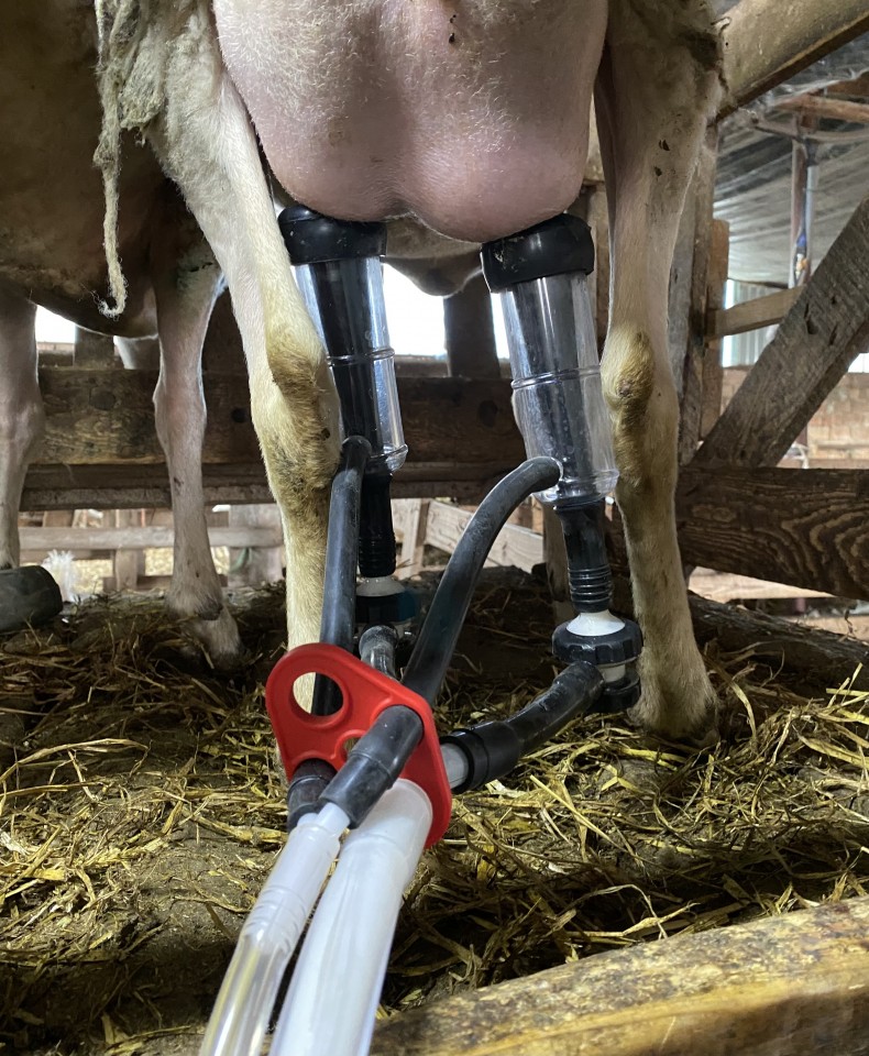 Recenzie produs - Aparat de muls capre, 4 posturi, 1 bidon inox de 40 litri - agroelectro.ro