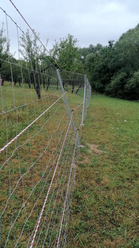 Recenzie produs - Frânghie gard electric - 500 m - 590 kg - 0,4 Ω/m - agroelectro.ro