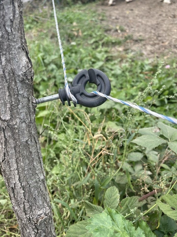 Recenzie produs - Izolator inelar, cu holțșurub, 25 buc. - agroelectro.ro