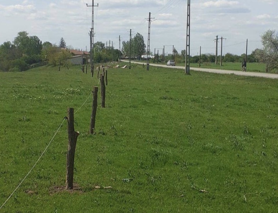 Recenzie produs - Pachet de bază gard electric 5000 m, 7,2 Joule, pentru animale domestice :: 5000 m - agroelectro.ro