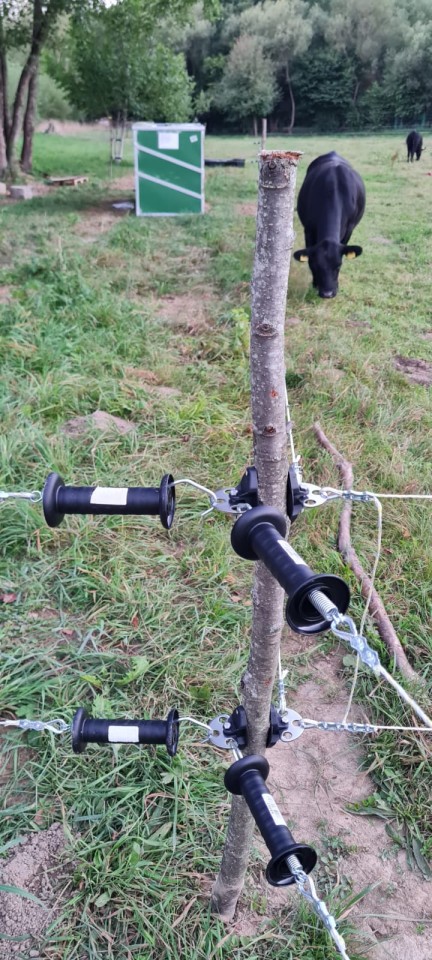 Recenzie produs - Izolator permanent pentru poartă, 2 buc. - agroelectro.ro