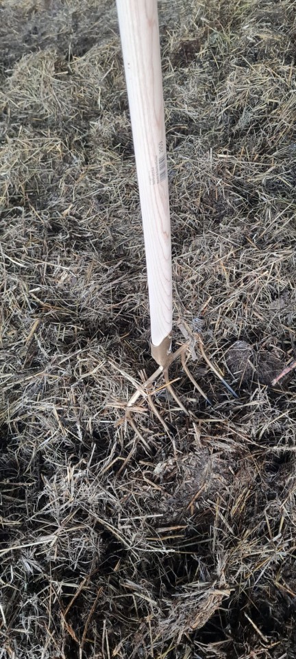 Recenzie produs - Furcă de bălegar cu 5 coarne, fără coadă, 24 × 31 cm - agroelectro.ro