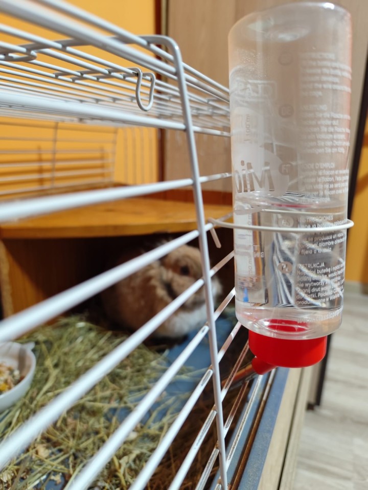 Recenzie produs - Adăpătoare cu bilă pentru rozătoare, 320 ml - agroelectro.ro