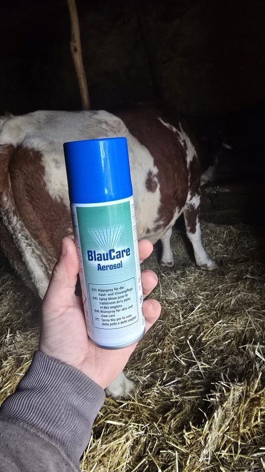 Recenzie produs - Spray albastru pentru dezinfecție, BlauCare, 200 ml :: 200 ml - agroelectro.ro