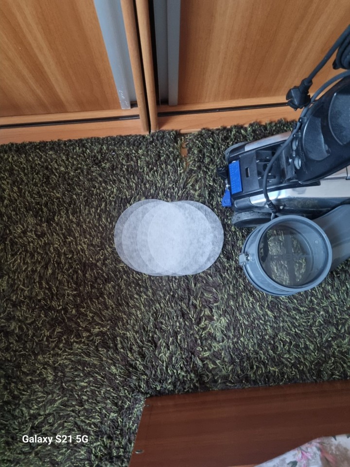 Recenzie produs - Filtru disc pentru lapte, Sana, 160 mm, 200 buc. :: 160 mm - agroelectro.ro