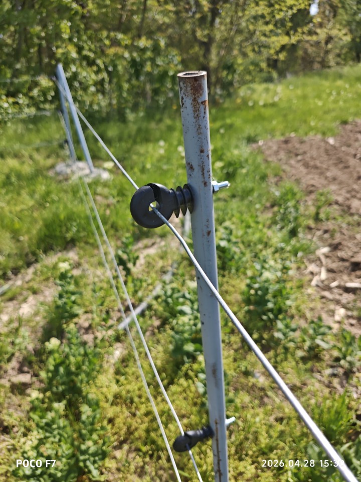 Recenzie produs - Izolator inelar cu picior metric M6 - agroelectro.ro
