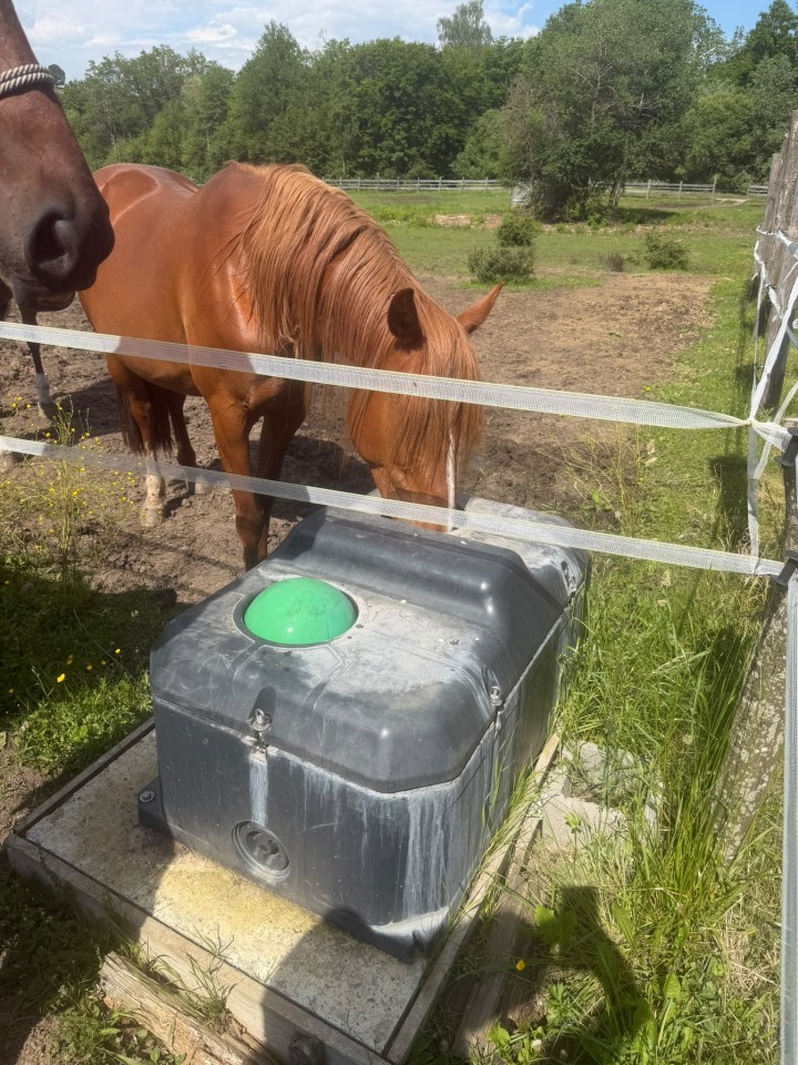 Recenzie produs - Adăpătoare dublă anti-îngheț cu bile, pentru bovine și cabaline, 100 litri - agroelectro.ro