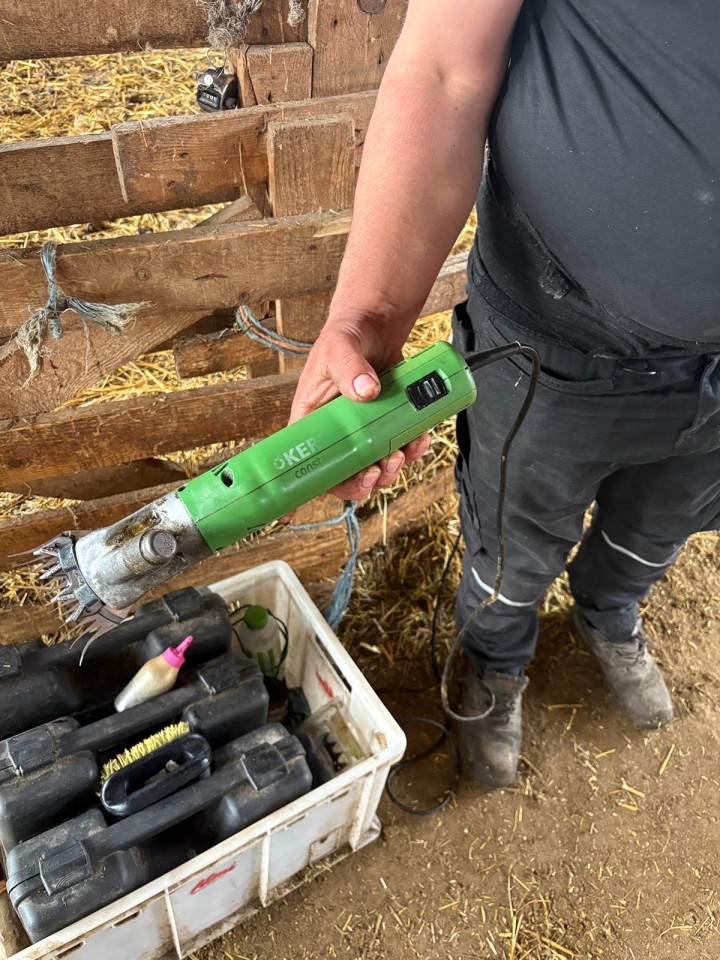Recenzie produs - Mașină de tuns 230 V, Constanta4, pentru oi, 13/4 - agroelectro.ro