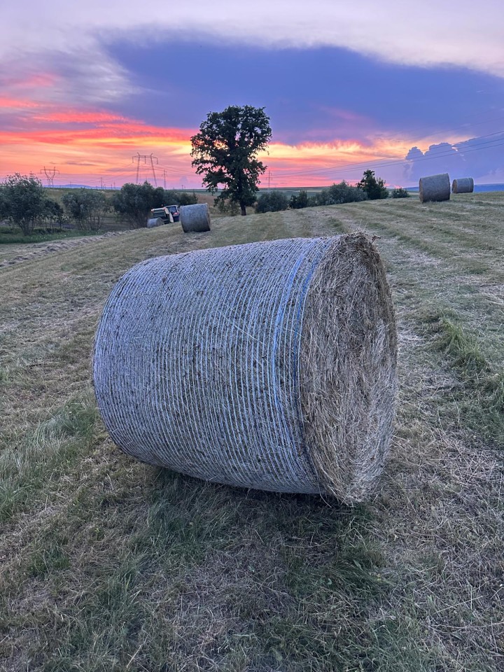 Recenzie produs - Plasă de balotat, 1,23 × 3000 m, XES Extreme - agroelectro.ro
