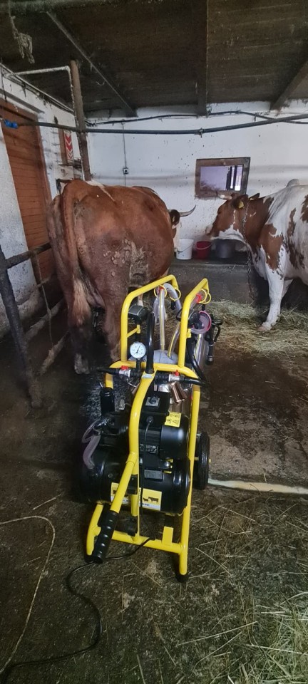 Recenzie produs - Aparat de muls vaci, 2 posturi, 1 bidon inox de 40 litri - agroelectro.ro