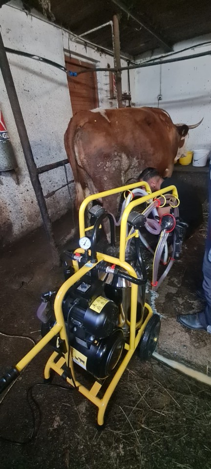 Recenzie produs - Aparat de muls vaci, 2 posturi, 1 bidon inox de 40 litri - agroelectro.ro