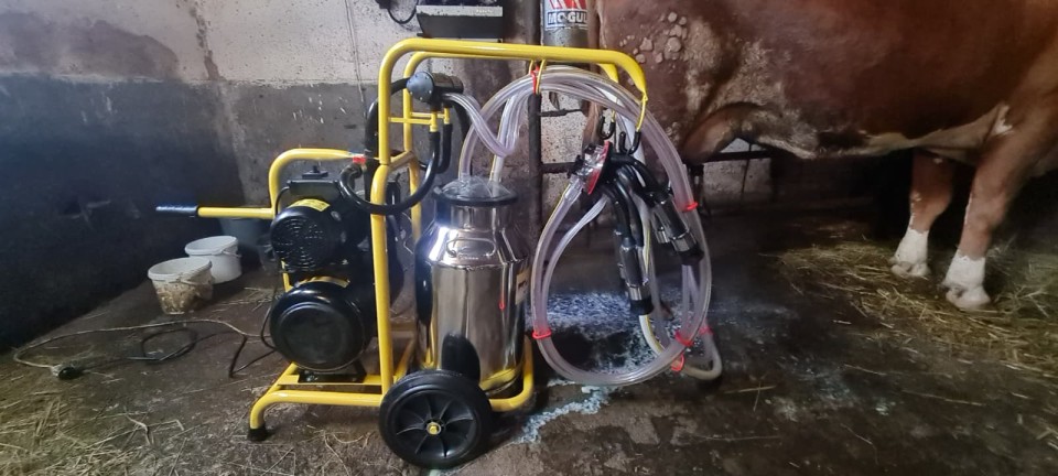 Recenzie produs - Aparat de muls vaci, 2 posturi, 1 bidon inox de 40 litri - agroelectro.ro