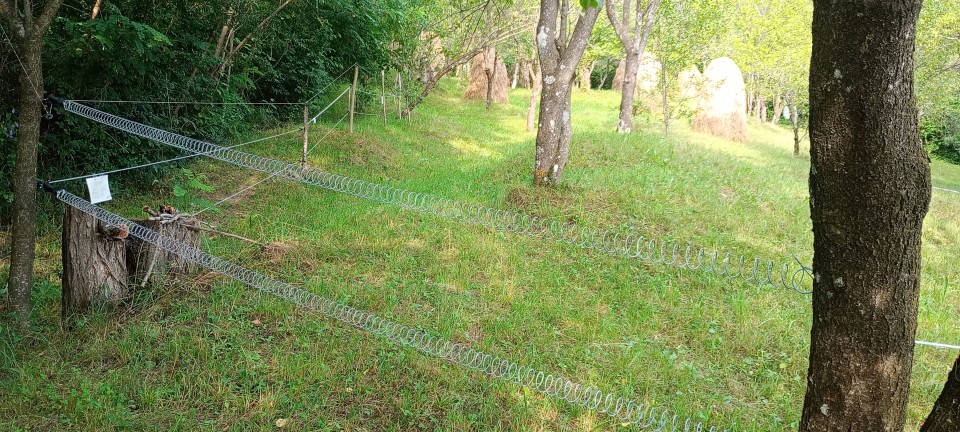 Recenzie produs - Set mâner poartă cu arc, 5 m - agroelectro.ro