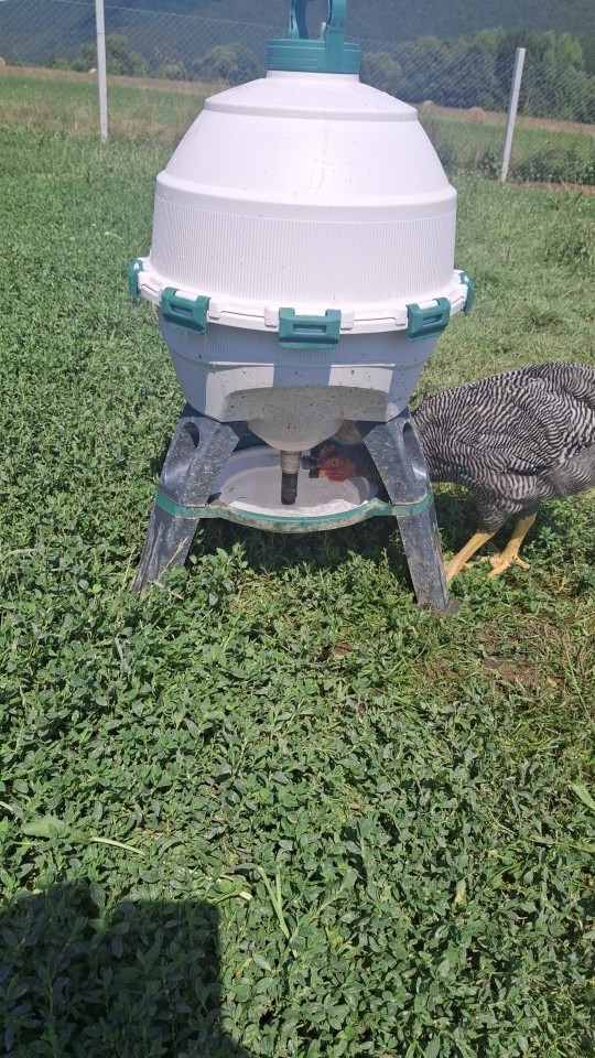 Recenzie produs - Adăpătoare premium pentru păsări, Optimus, 25 litri - agroelectro.ro