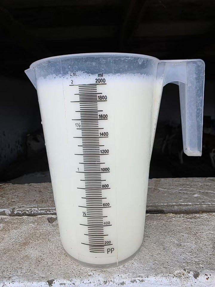 Recenzie produs - Cană gradată, plastic, 2 litri :: 2 litri - agroelectro.ro