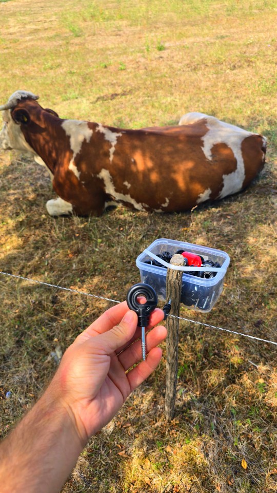 Recenzie produs - Izolator inelar, 100 buc. + dispozitiv de înfiletare - agroelectro.ro