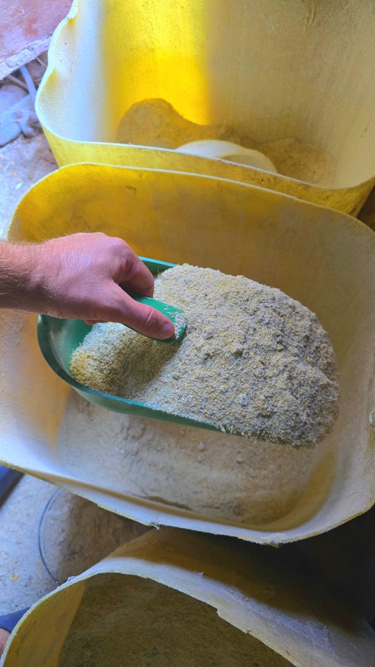 Recenzie produs - Scafă pentru hrană, 2,1 litri - agroelectro.ro