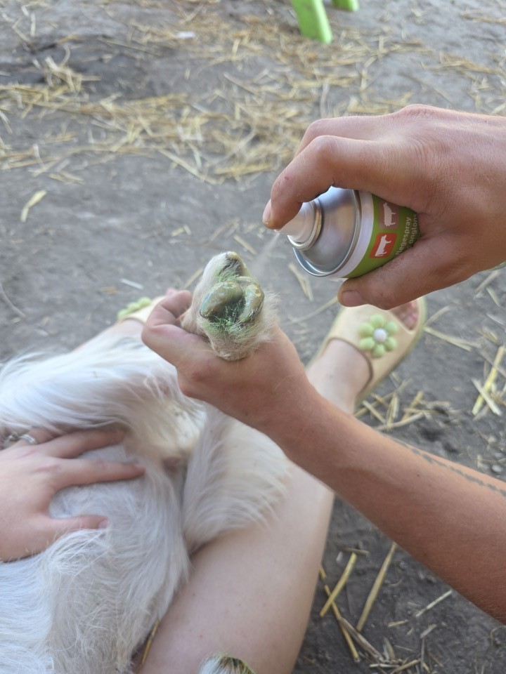 Recenzie produs - Spray verde pentru copite, 400 ml - agroelectro.ro