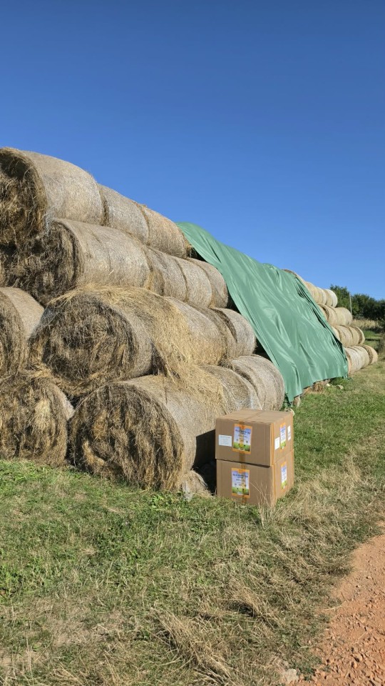 Recenzie produs - Prelată pentru acoperire baloți - 9,8 × 25 m - agroelectro.ro