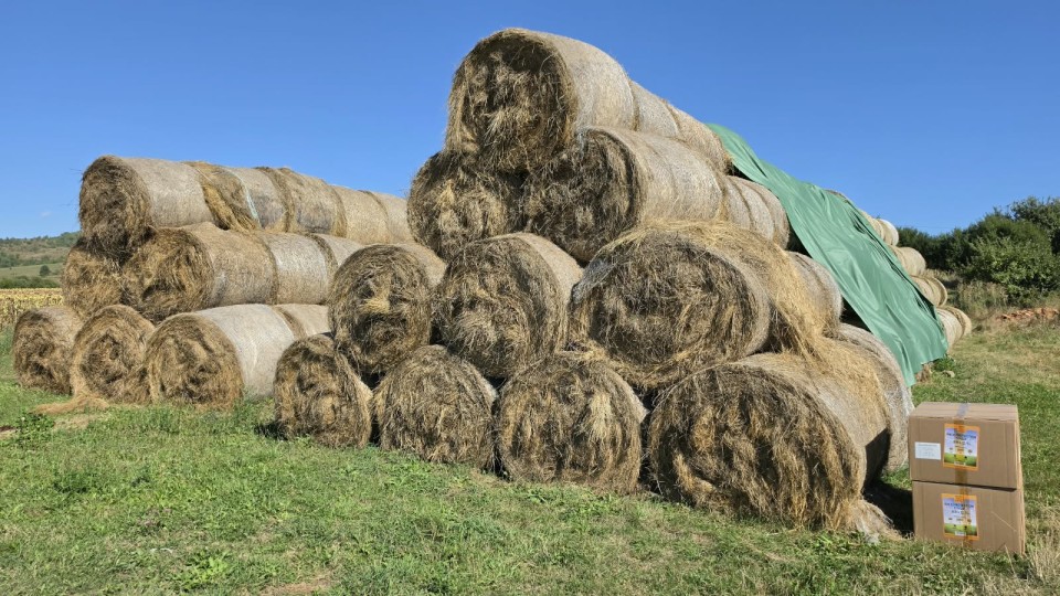 Recenzie produs - Prelată pentru acoperire baloți - 9,8 × 25 m - agroelectro.ro