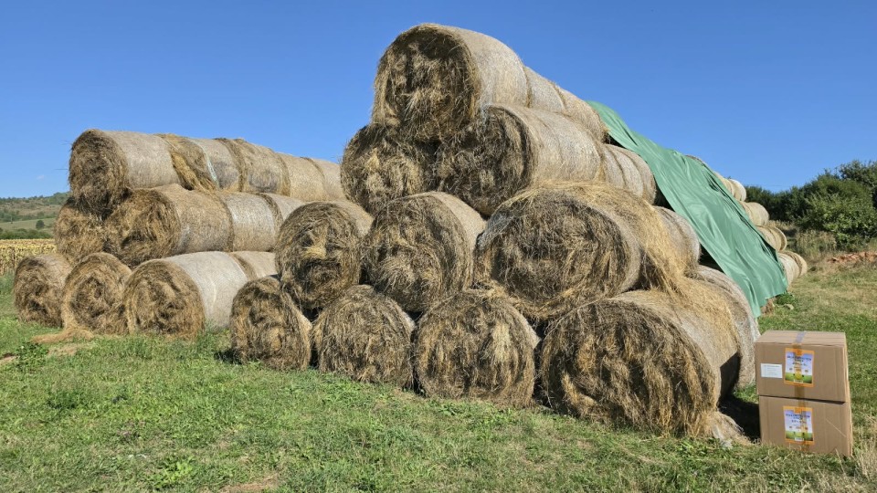 Recenzie produs - Prelată pentru acoperire baloți - 9,8 × 12,5 m - agroelectro.ro
