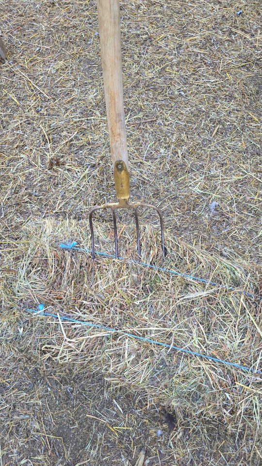 Recenzie produs - Furcă de bălegar cu 4 coarne, fără coadă, 23 × 31 cm - agroelectro.ro