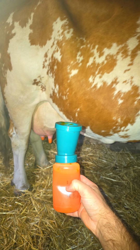 Recenzie produs - Pahar pentru dezinfecția mameloanelor, non-retur, 300 ml - agroelectro.ro