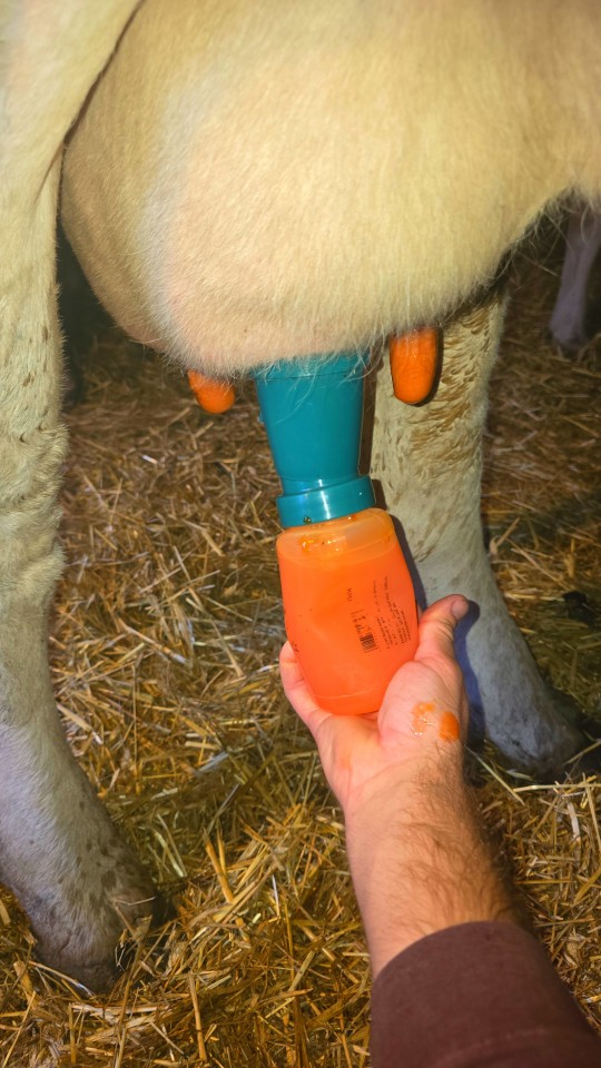 Recenzie produs - Pahar pentru dezinfecția mameloanelor, non-retur, 300 ml - agroelectro.ro