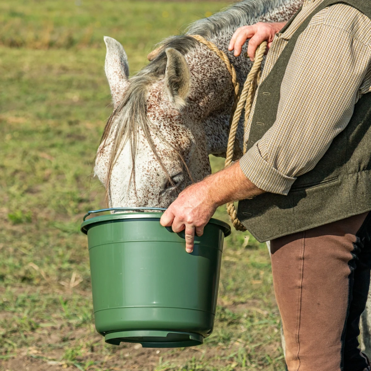 Găleată de grajd si furajare, 20 litri, verde :: 20 litri