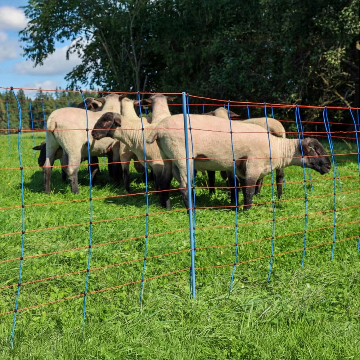 Plasă gard electric, TitanNet Premium, 50 m × 90 cm