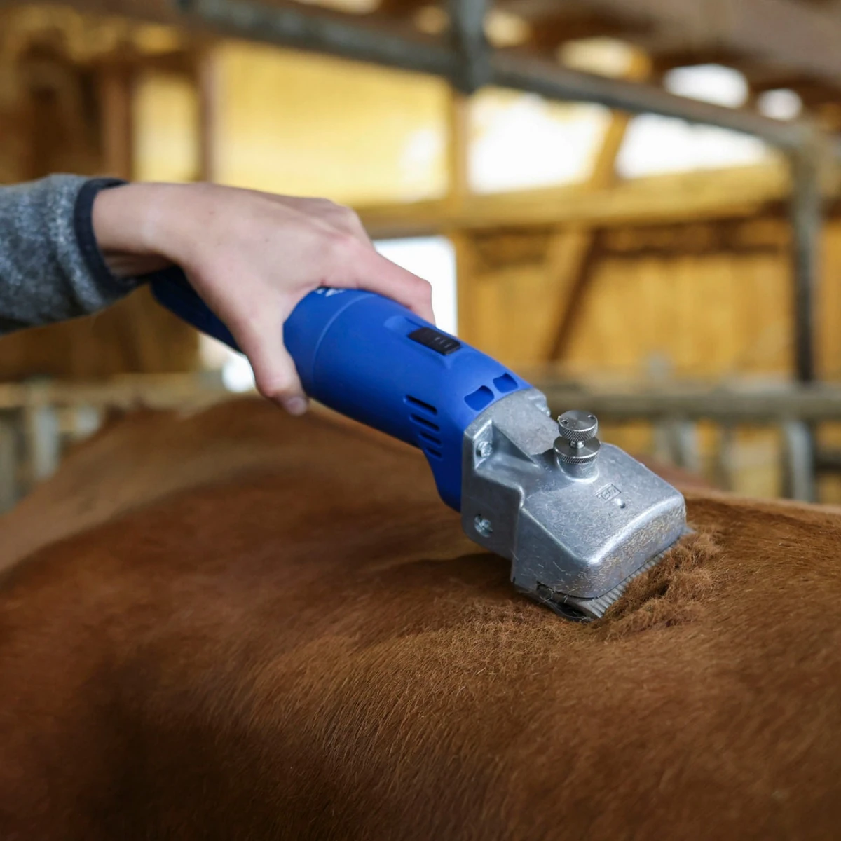 Mașină de tuns bovine și cabaline, Aesculap Econom II, 230 V
