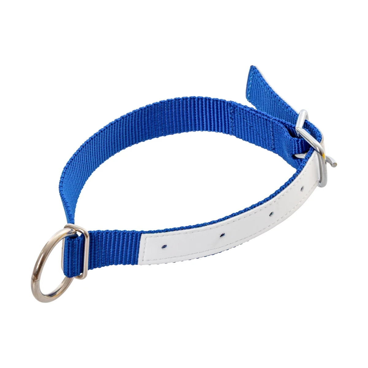 Colier pentru oi, albastru, 60 cm :: Albastru