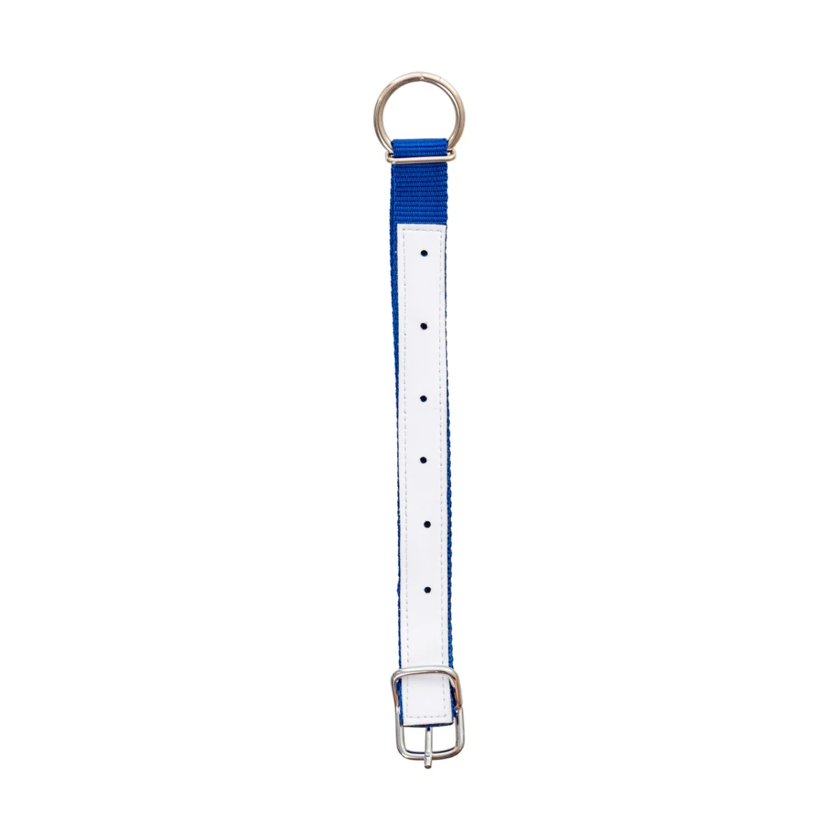Colier pentru oi, albastru, 60 cm :: Albastru