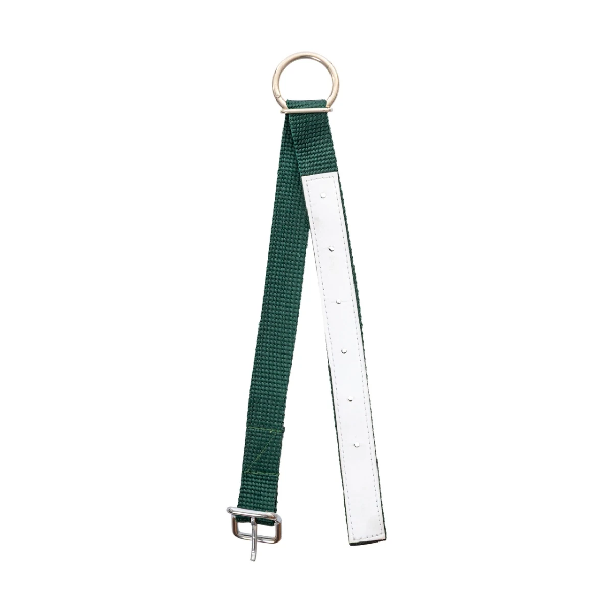 Colier pentru oi, verde, 60 cm :: Verde