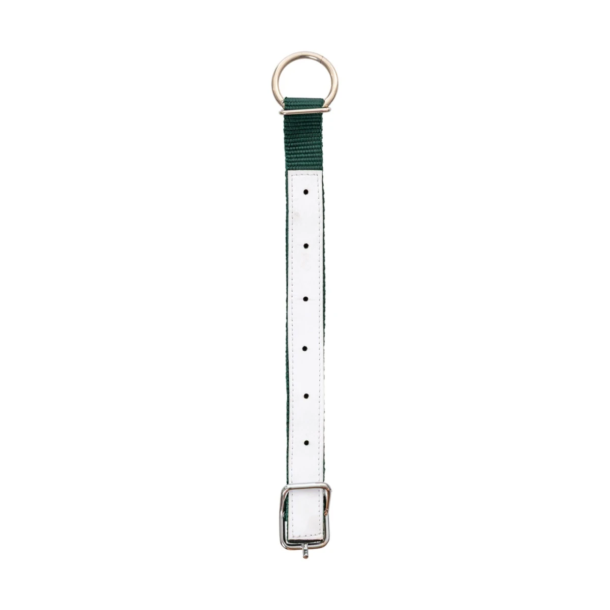 Colier pentru oi, verde, 60 cm :: Verde