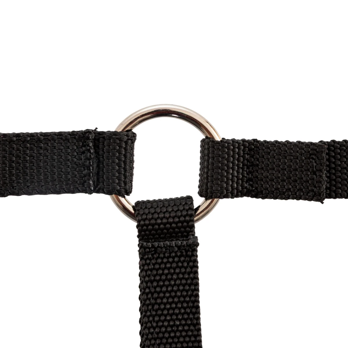 Căpăstru pentru alpaca, negru
