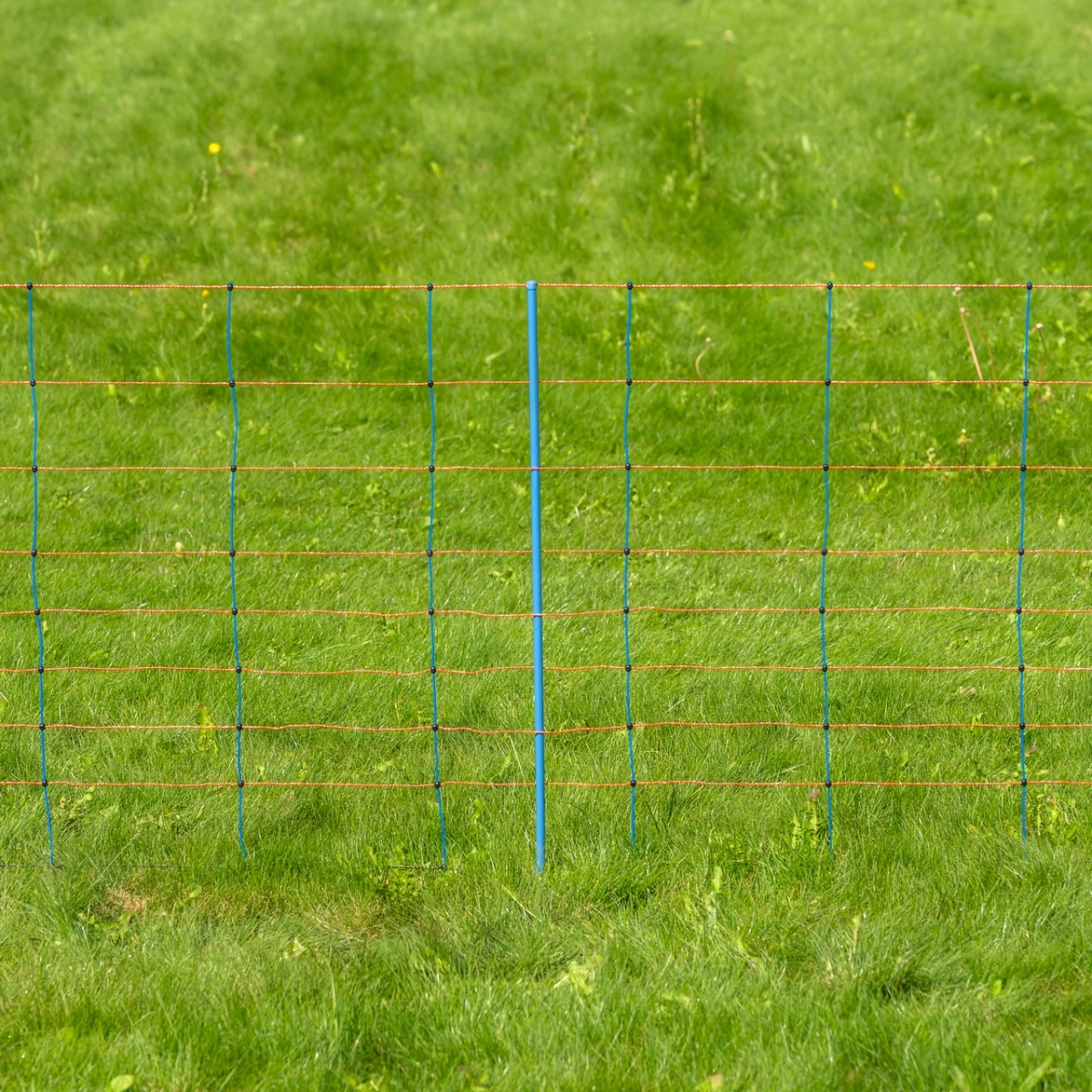 Plasă gard electric, TitanNet Premium, 50 m × 90 cm