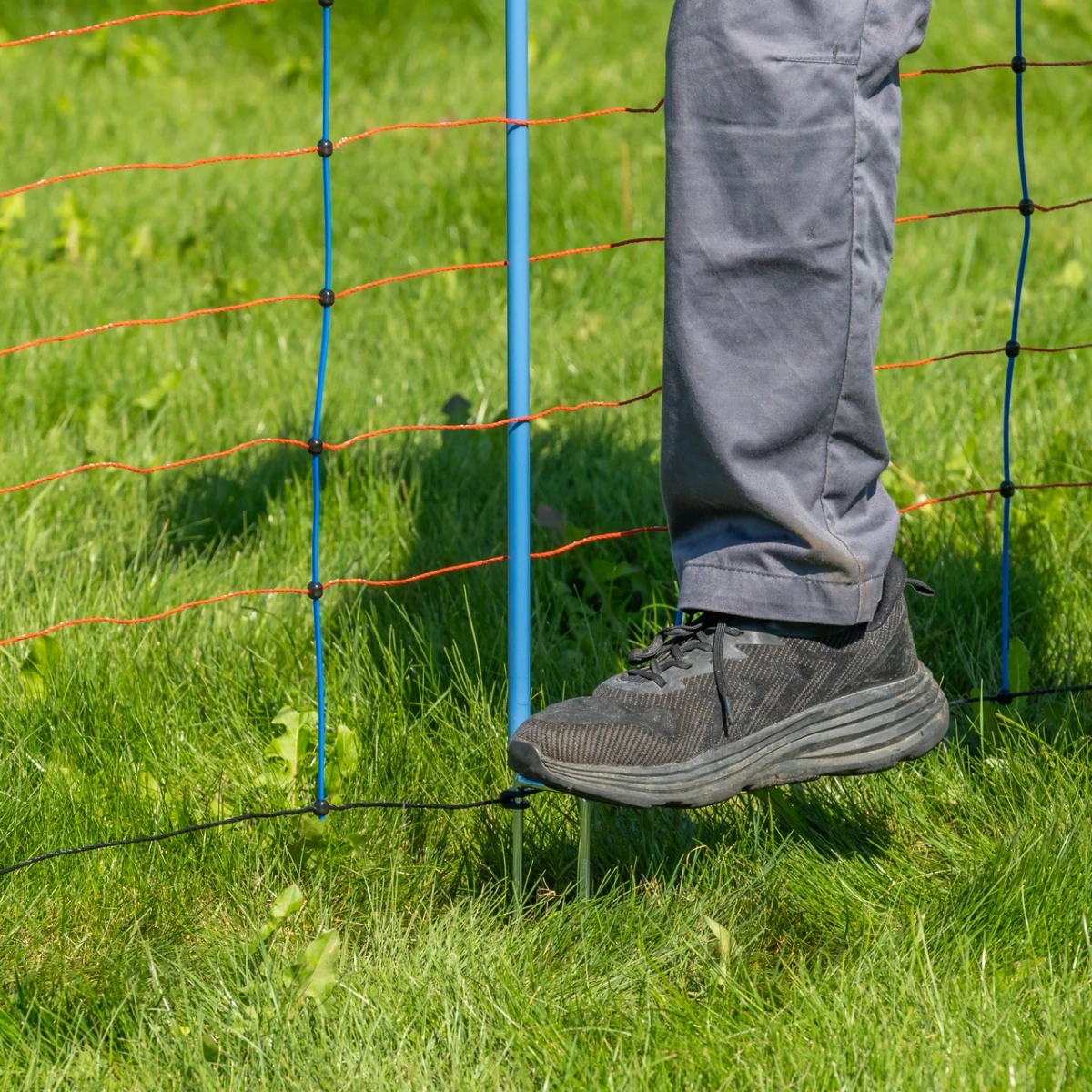 Plasă gard electric, TitanNet Premium, 50 m × 108 cm