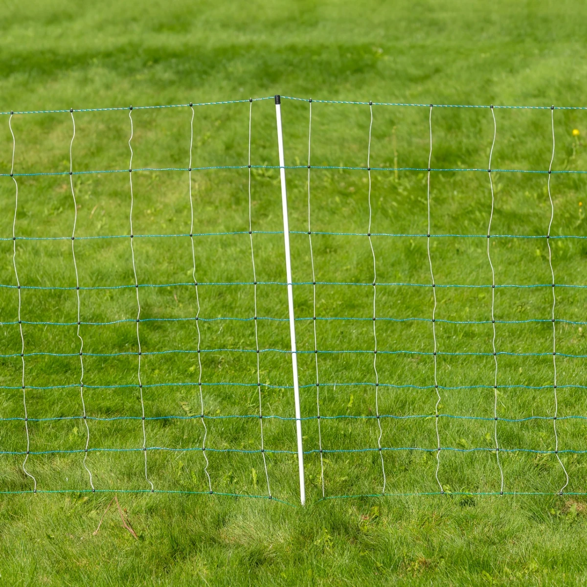 Plasă gard electric, OviNet Maxi, 50 m × 122 cm