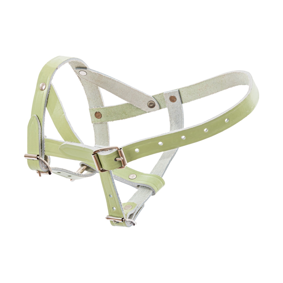 Căpăstru din piele pentru oi și berbeci, reglabil