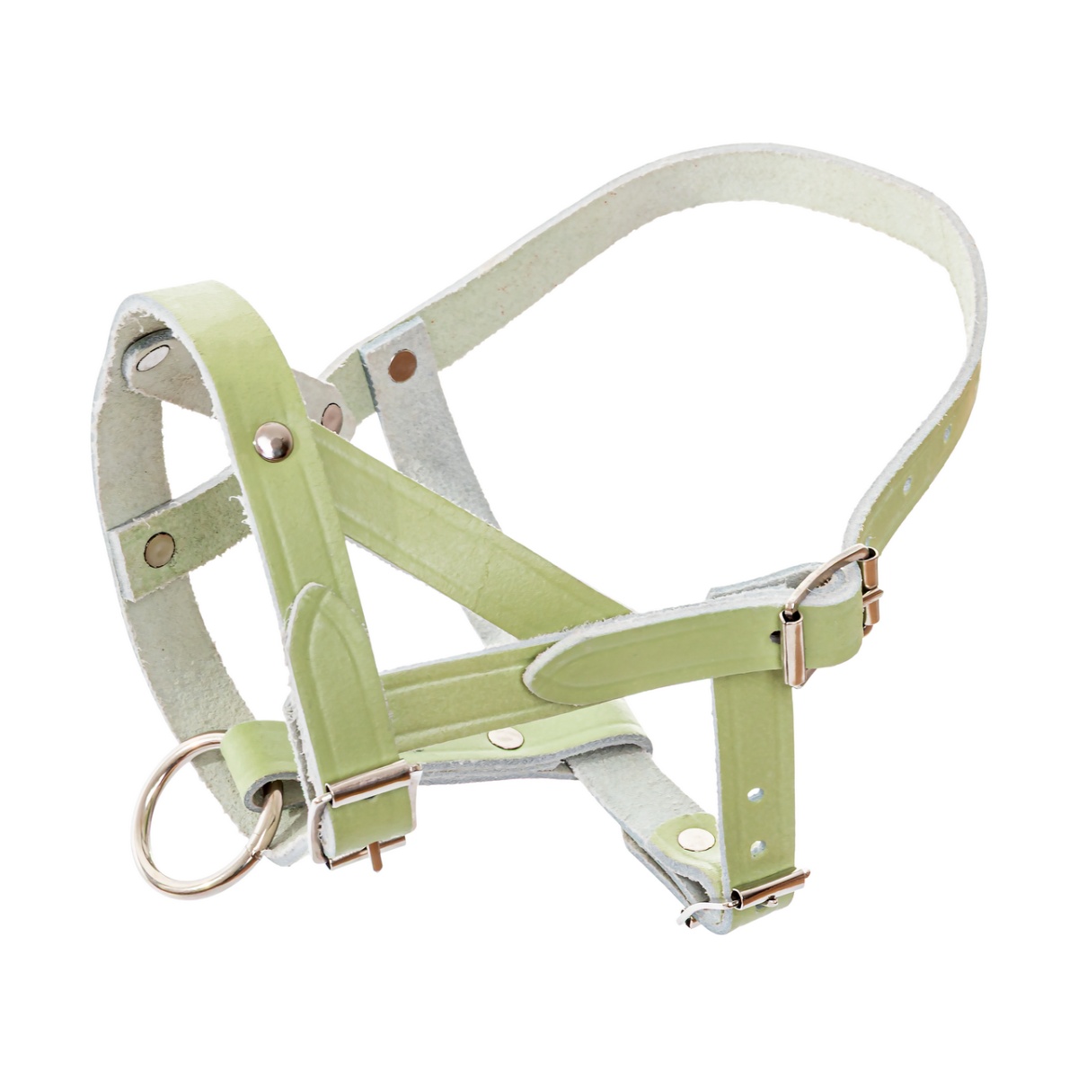 Căpăstru din piele pentru oi și berbeci, reglabil