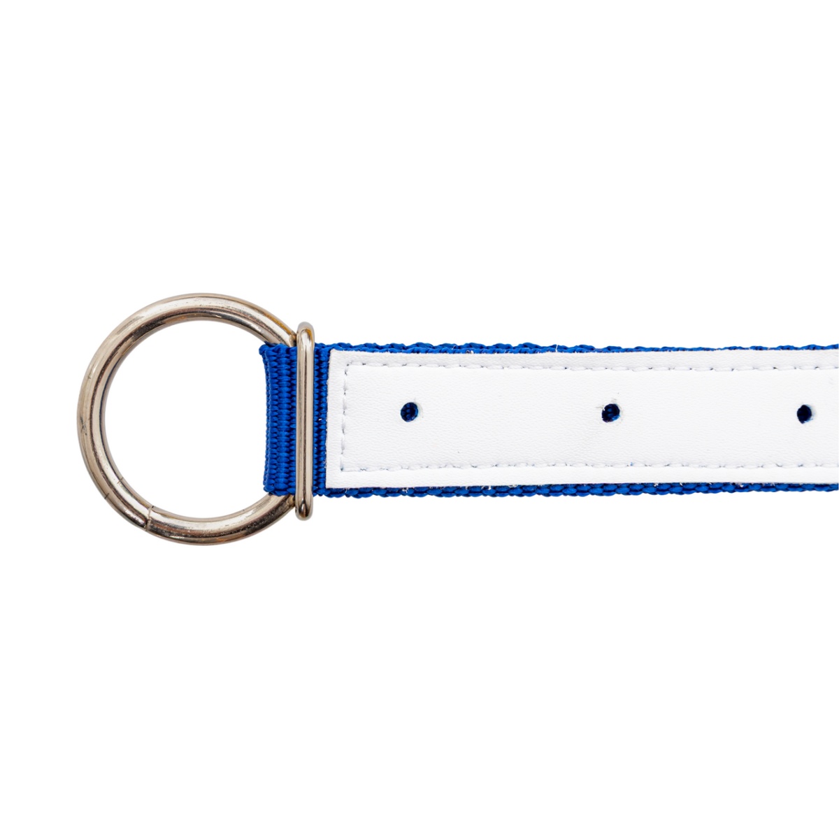 Colier pentru oi, albastru, 60 cm