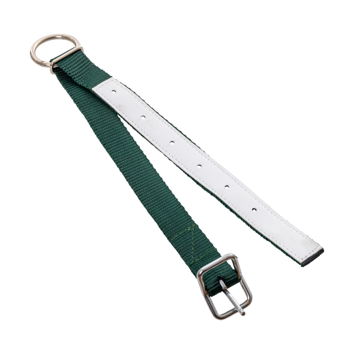 Colier pentru oi, verde, 60 cm