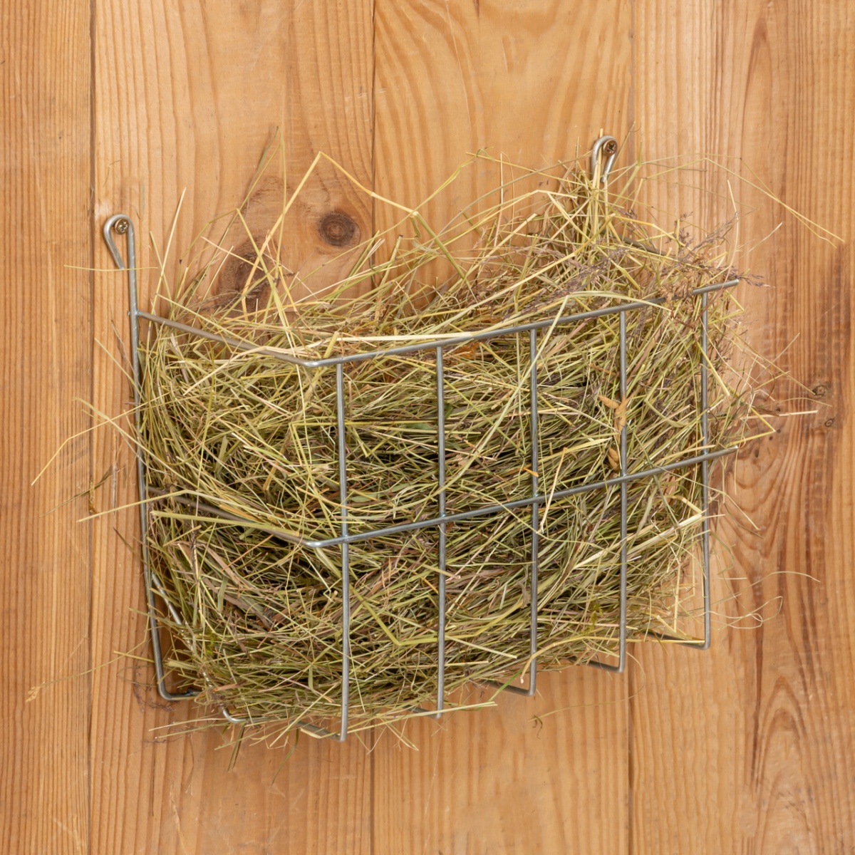 Iesle metalică pentru iepuri, 20 × 10 × 15 cm