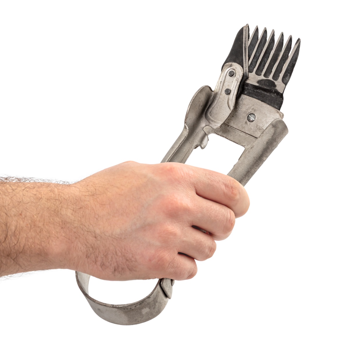 Foarfecă de tuns oi, 25 cm